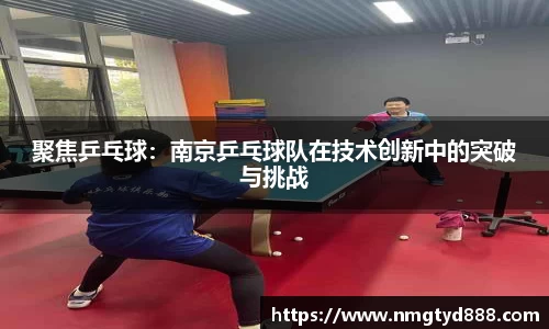 聚焦乒乓球：南京乒乓球队在技术创新中的突破与挑战